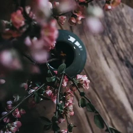 Vaya Zillertal 4* Aschau Im Zillertal