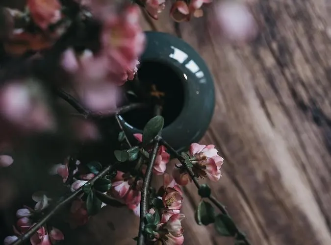 Vaya Zillertal 4* Aschau Im Zillertal