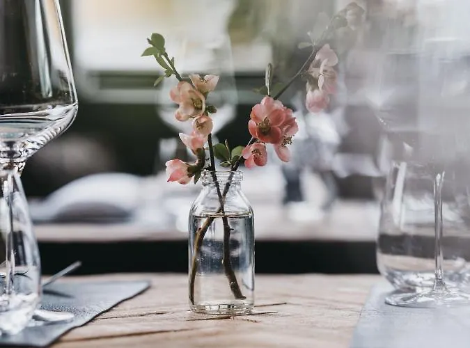 Vaya Zillertal Aschau Im Zillertal