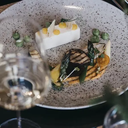 Vaya Zillertal 酒店